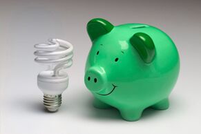 E -Energy - rosett energia säästmiseks